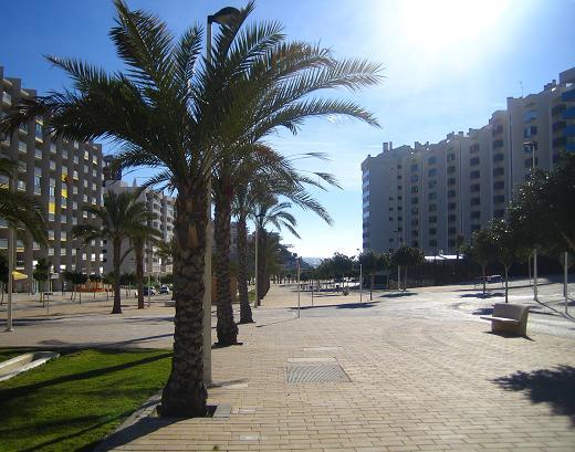 Apartment Cala Alta